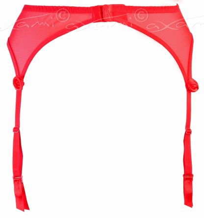 Axami Liguero V-5362 Excite me